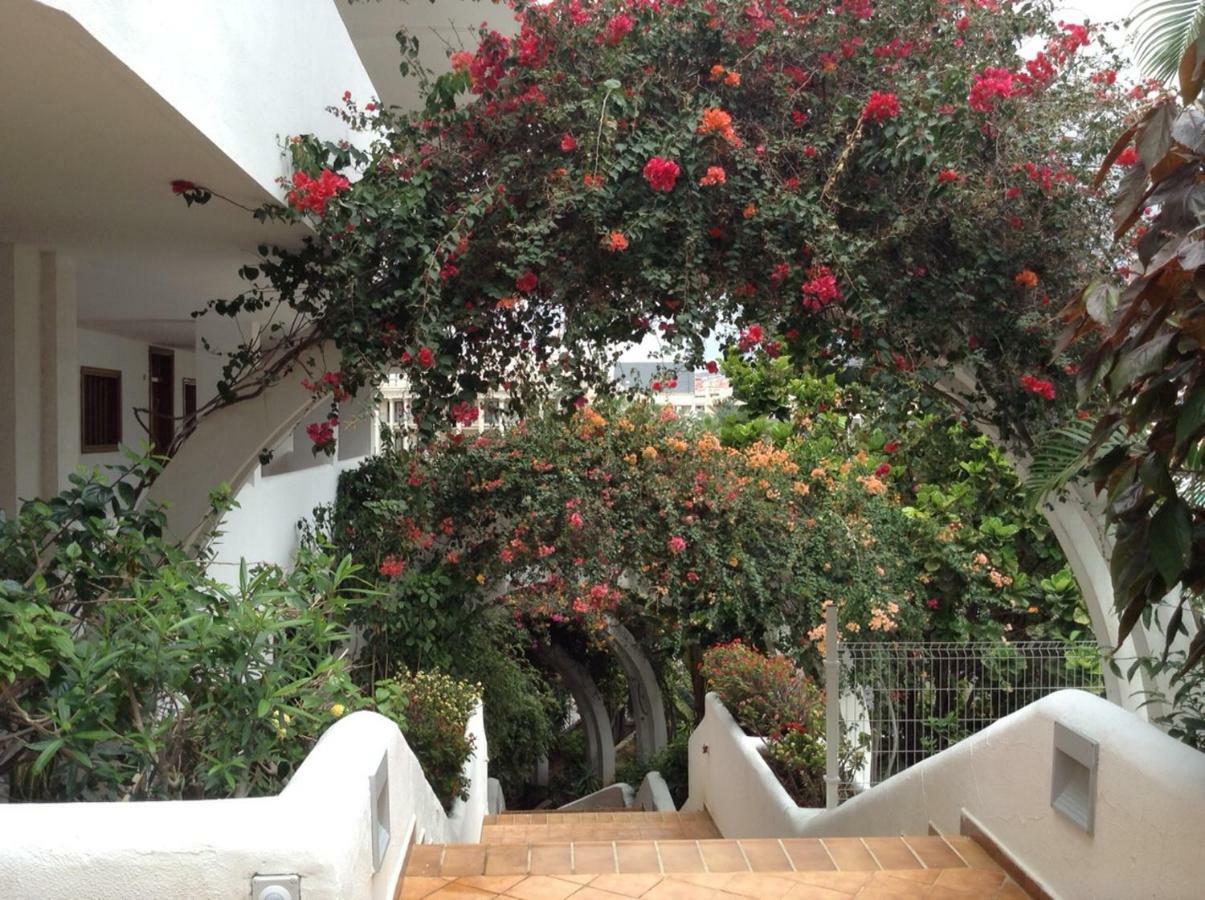 New Beautiful Apartment!Beaches Nearby!Ocean View! Costa Adeje  Εξωτερικό φωτογραφία